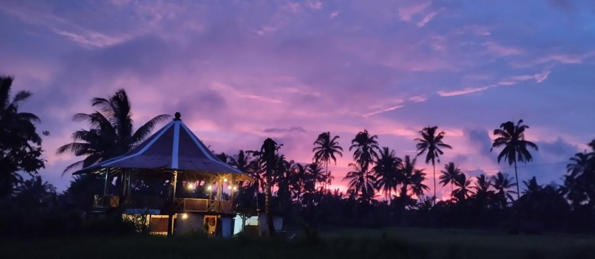 Rice Field Inn - Lombok Tetebatu Ngoại thất bức ảnh