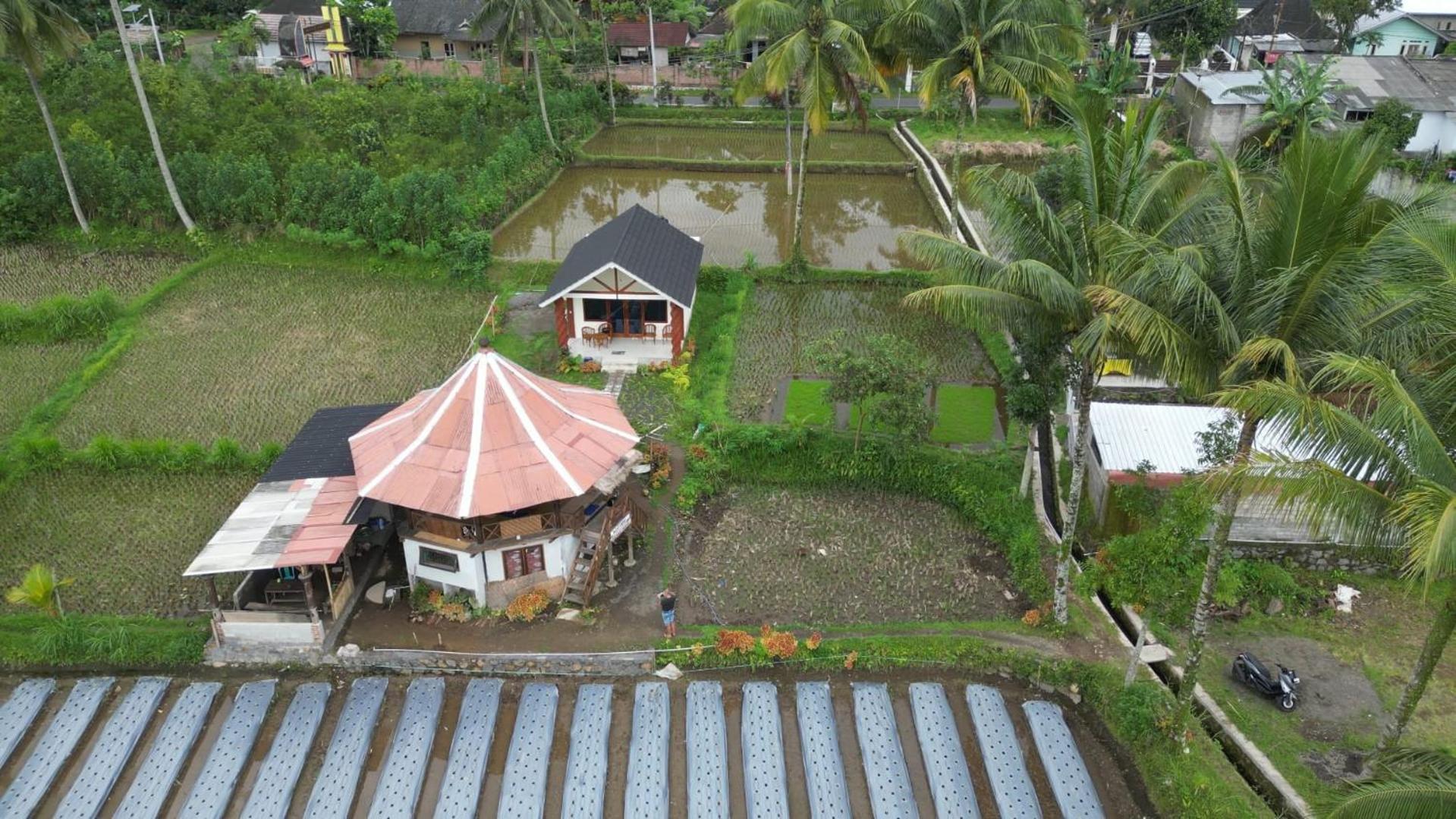 Rice Field Inn - Lombok Tetebatu Ngoại thất bức ảnh