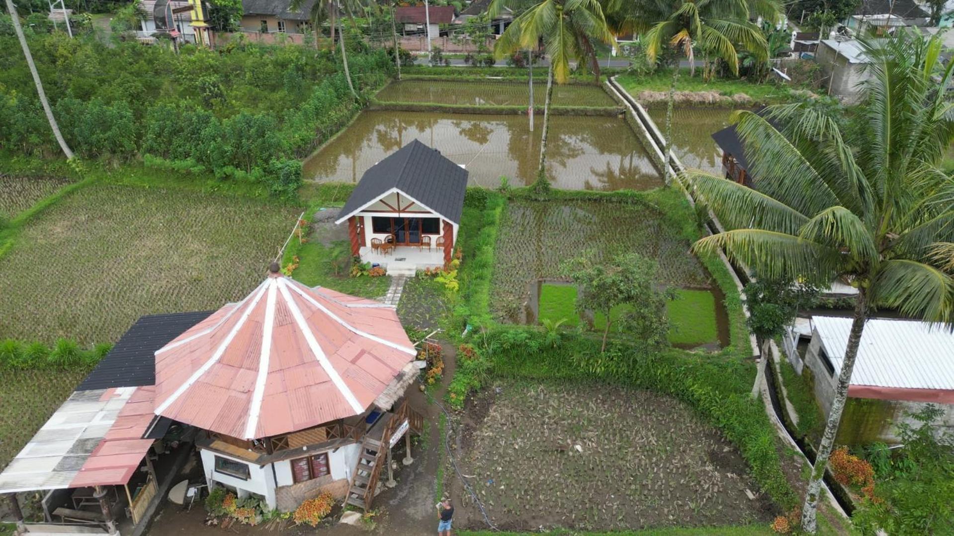 Rice Field Inn - Lombok Tetebatu Ngoại thất bức ảnh