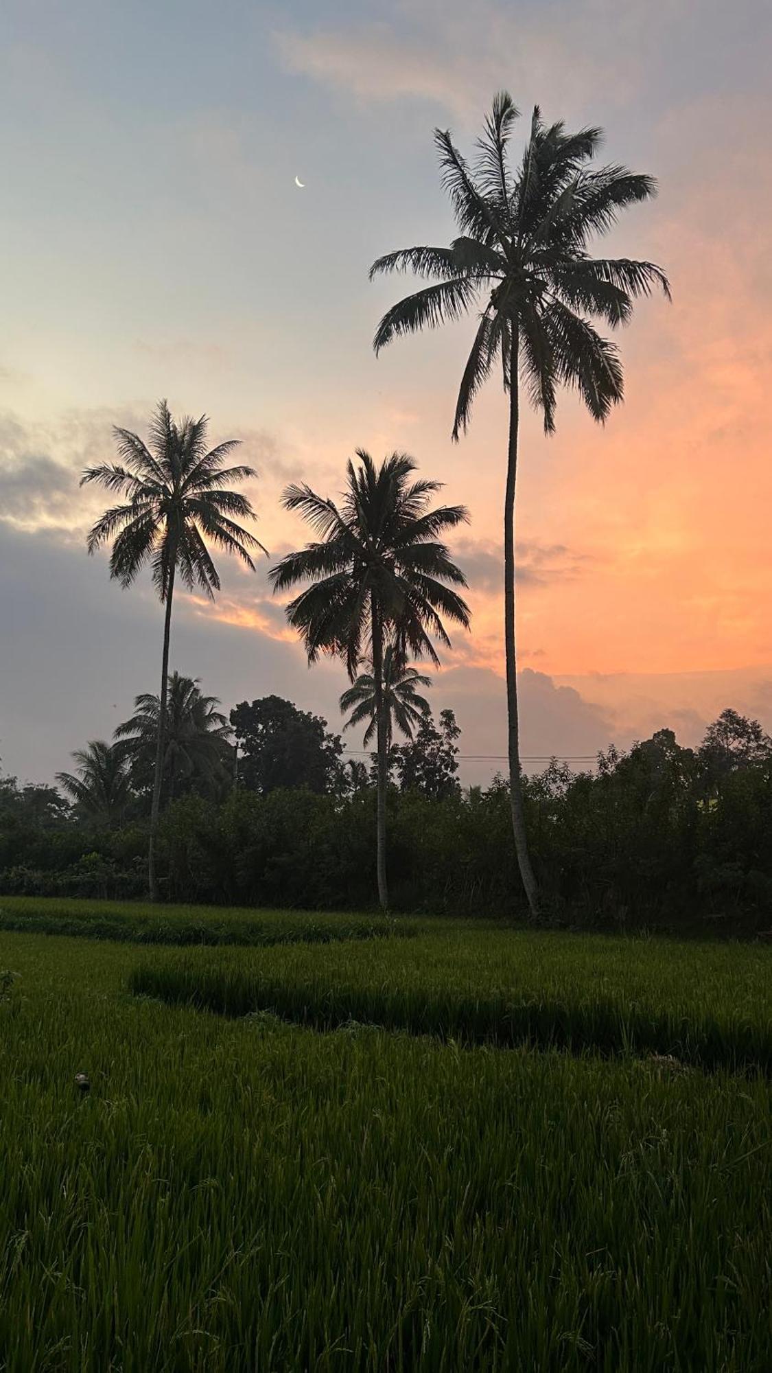 Rice Field Inn - Lombok Tetebatu Ngoại thất bức ảnh