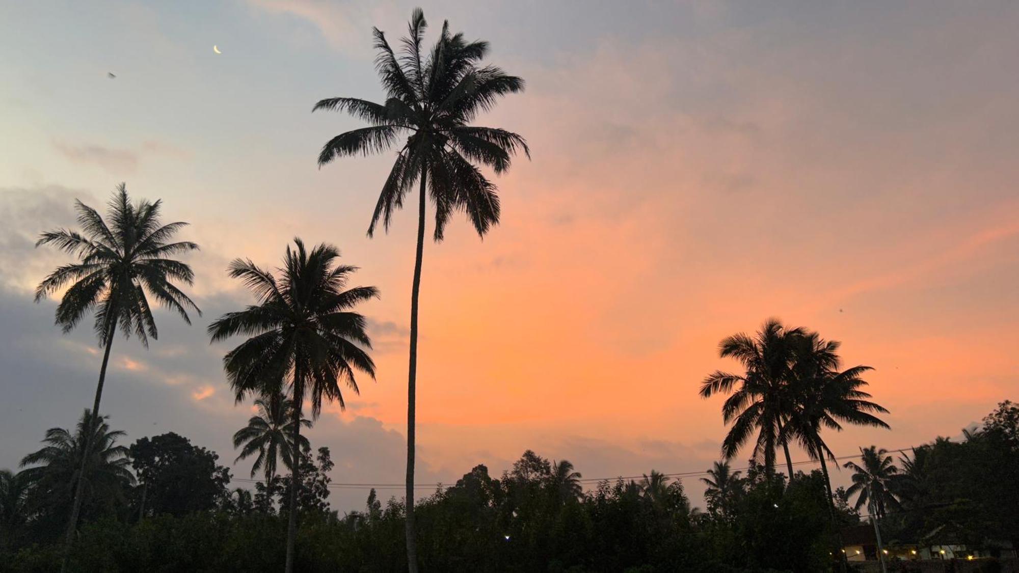 Rice Field Inn - Lombok Tetebatu Ngoại thất bức ảnh